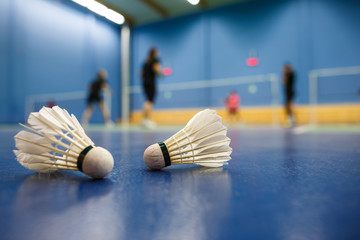 Badminton im Sportcenter Solothurn – Impression 7
